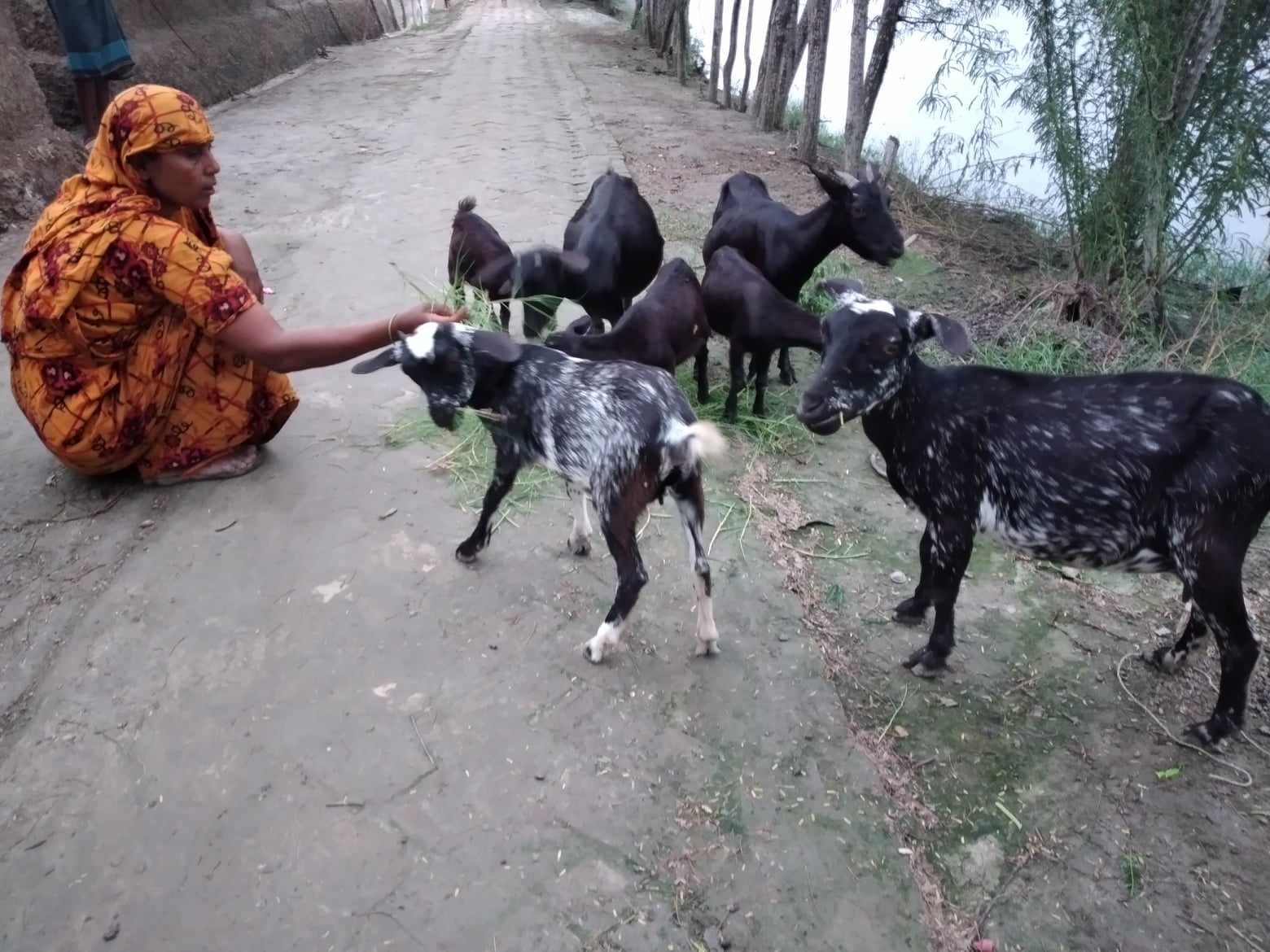 স্বপ্ন পুরণের হাতছানি আছিয়া বেগমের