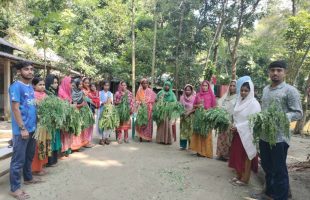 বিশ্ব খাদ্য দিবস: সাজনা গ্রামে সাজনা পাতা বিতরণ উৎসব