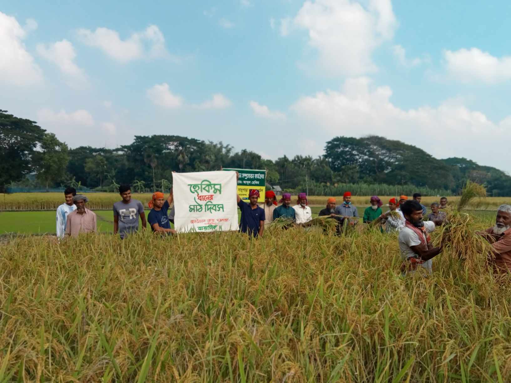 হেকিম ধান কৃষকের মন জয় করেছে