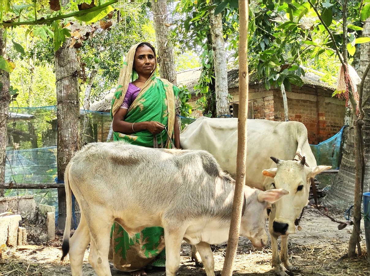 অঞ্জলী রানীর স্বপ্ন