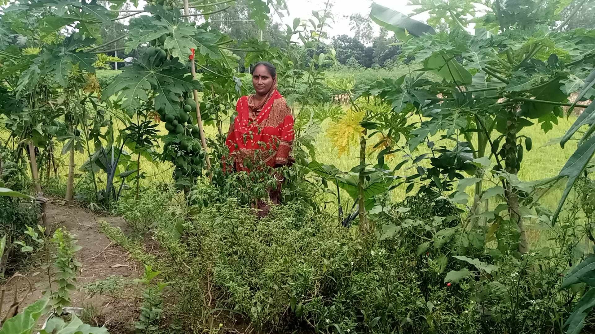 পরিবেশ ও প্রাণবৈচিত্র্য সুরক্ষায় নিরবে অবদান রাখা নারীদের শ্রদ্ধা জানাই