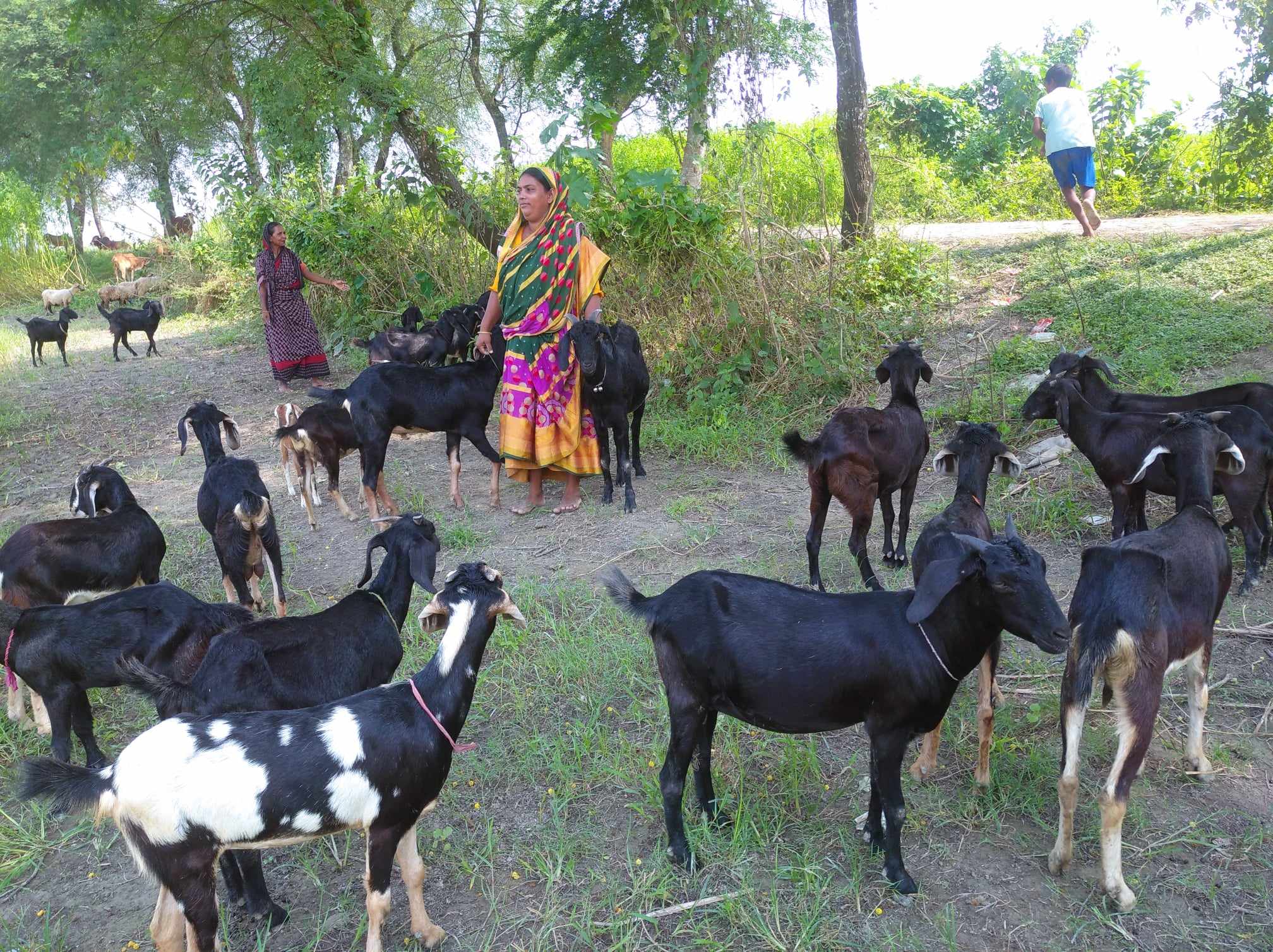 নিজের কাজ নিজেরাই করবো