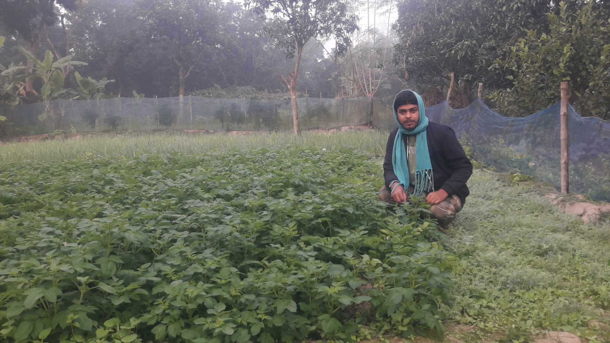 যুবক শিমুলের  নিরাপদ শাকসবজি চাষ