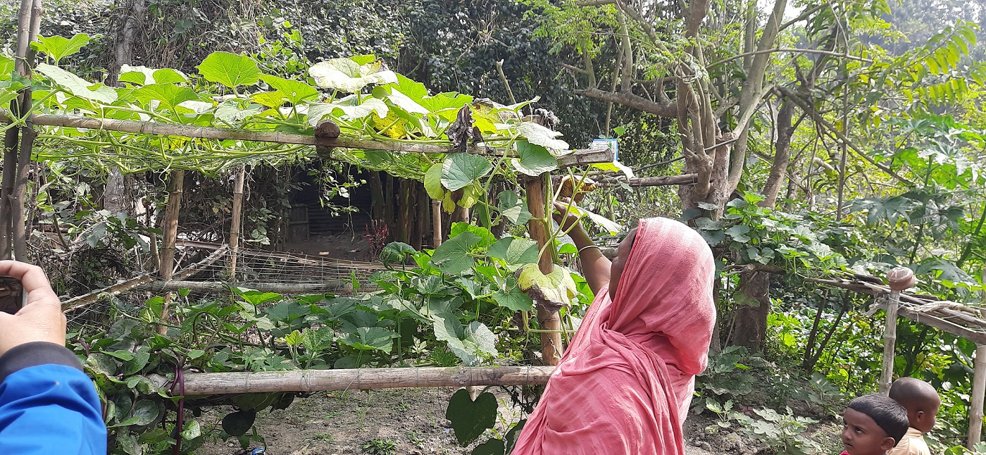 শুধু খাদ্য নিরাপত্তা নয়, নিরাপদ খাদ্যও উৎপাদন করতে হবে