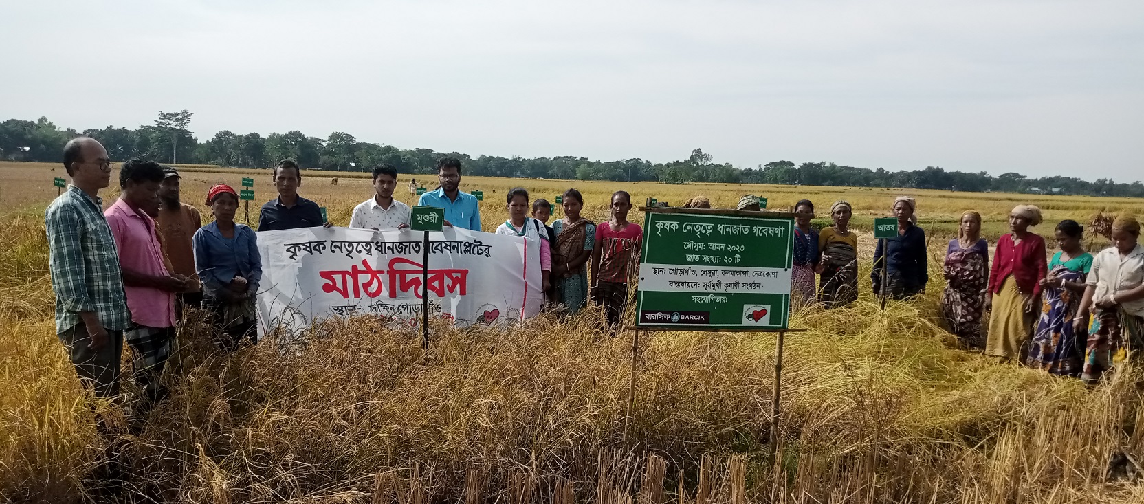 কলমাকান্দার কৃষকরা এখন বৈচিত্র্যময় দেশীয় ধান চাষ করছেন