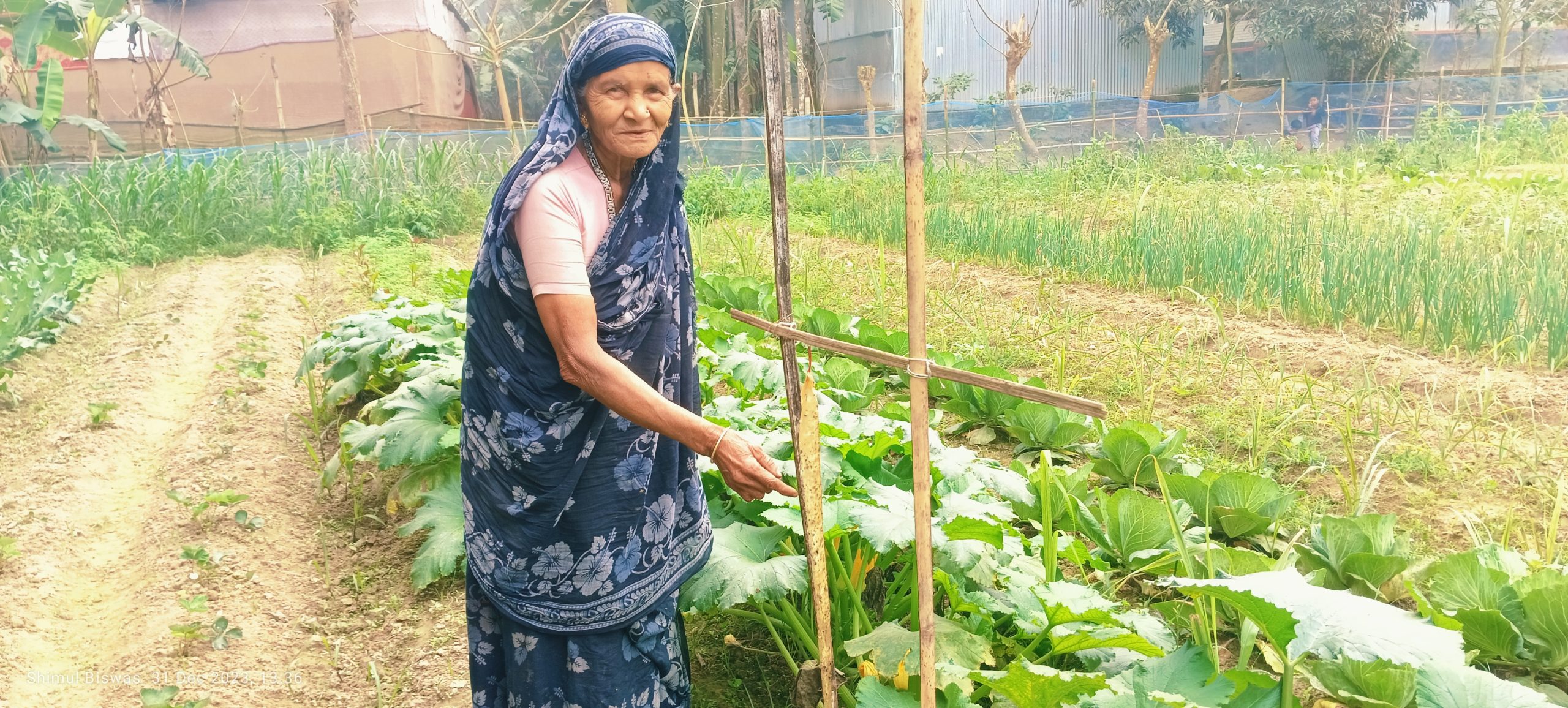 রহিমা বেগমের প্রাকৃতিক কৃষি