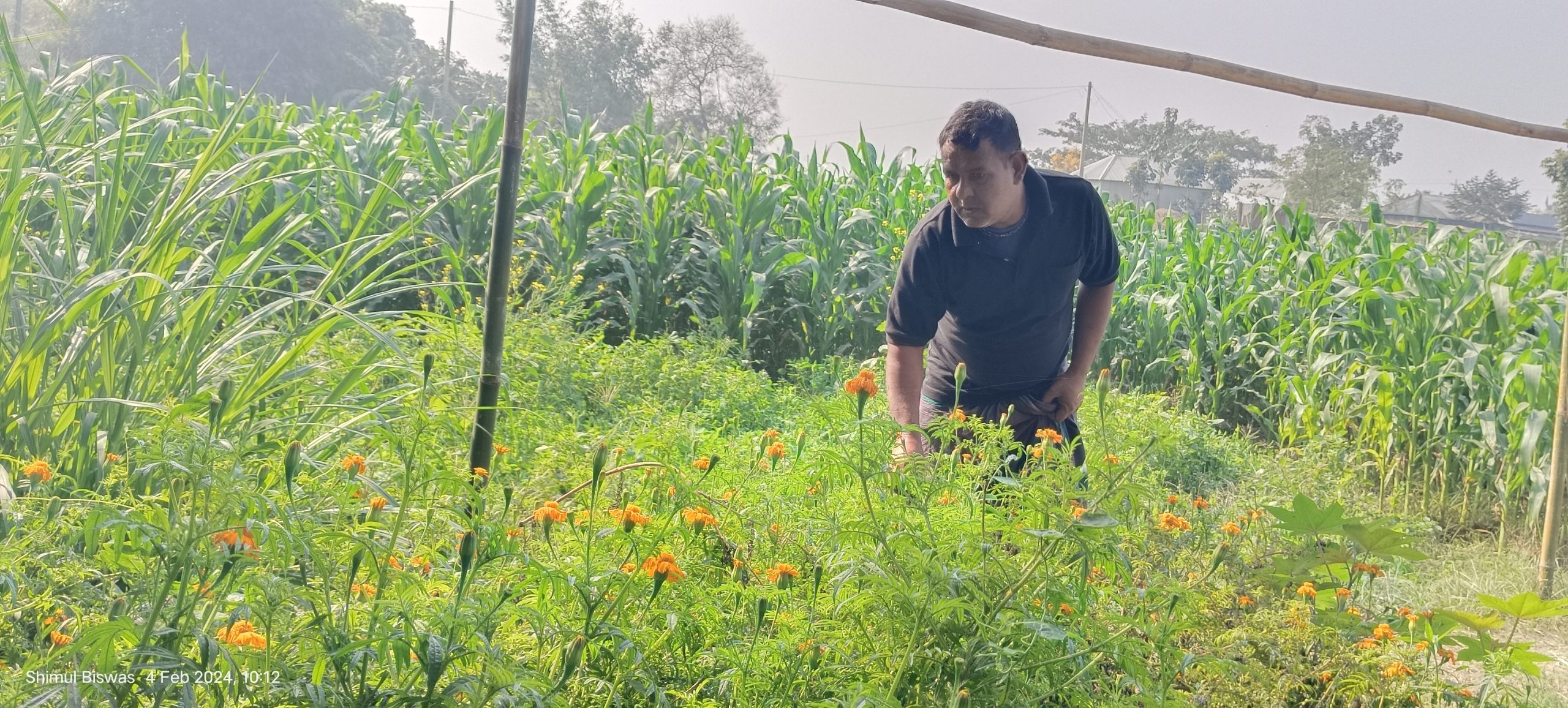 একটি সম্ভাবনাময় কৃষিপ্রতিবেশবিদ্যা শিখনকেন্দ্র