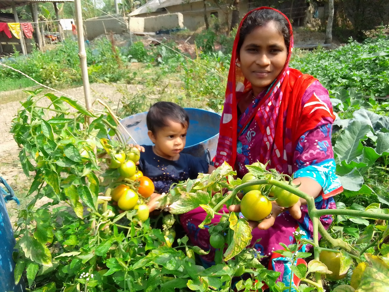 একটি গাছেই অনেক কিছু