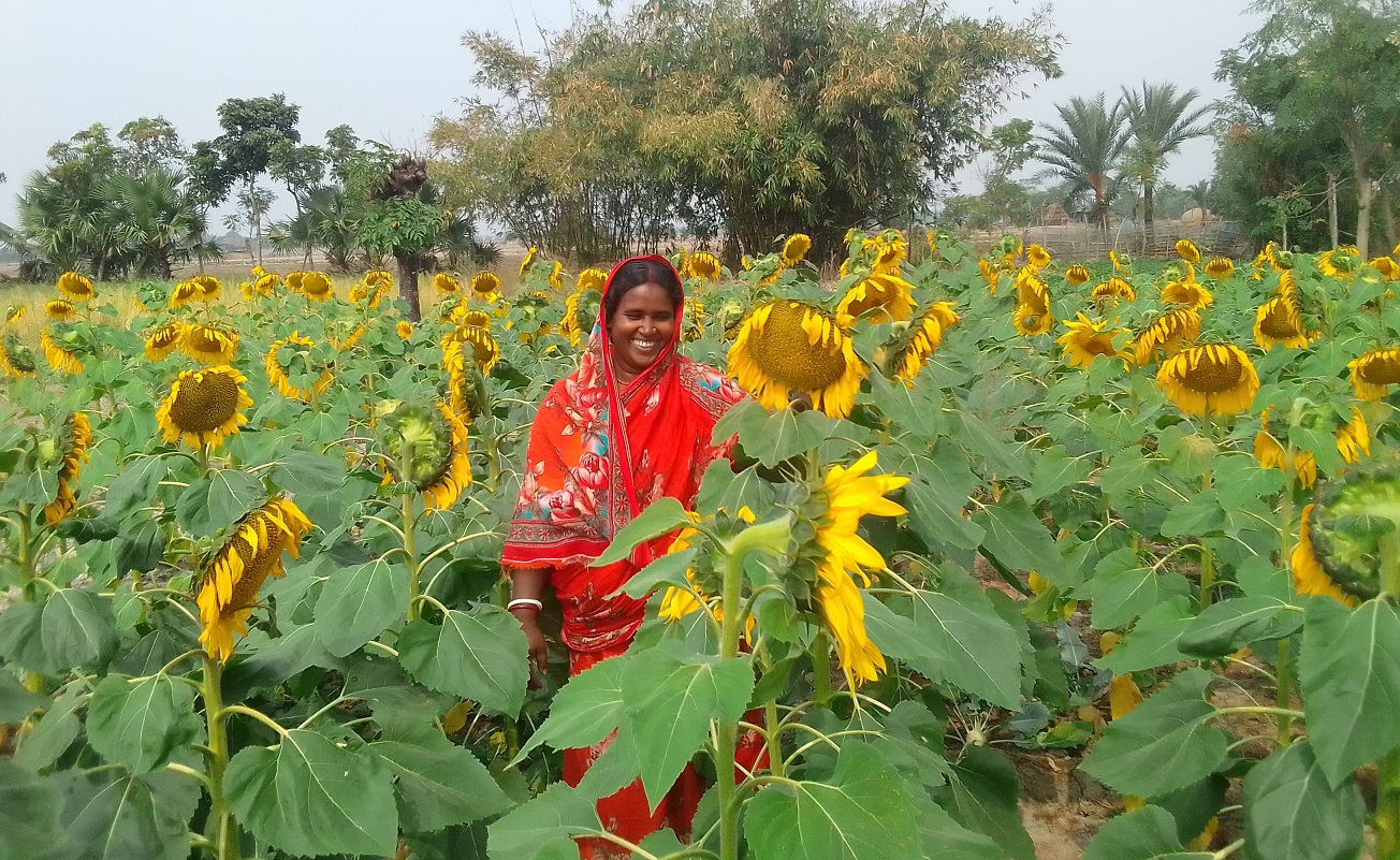 কৃষি প্রতিবেশবিদ্যা চর্চায় অদিতি রানীর উদ্যোগ