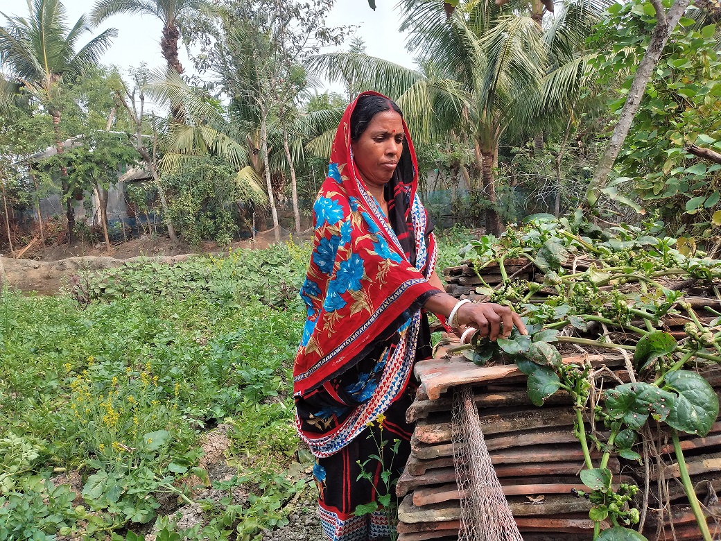 বসতভিটায় সবজি চাষে অর্থনৈতিকভাবে স্বাবলম্বী হচ্ছেন কমলা রানী