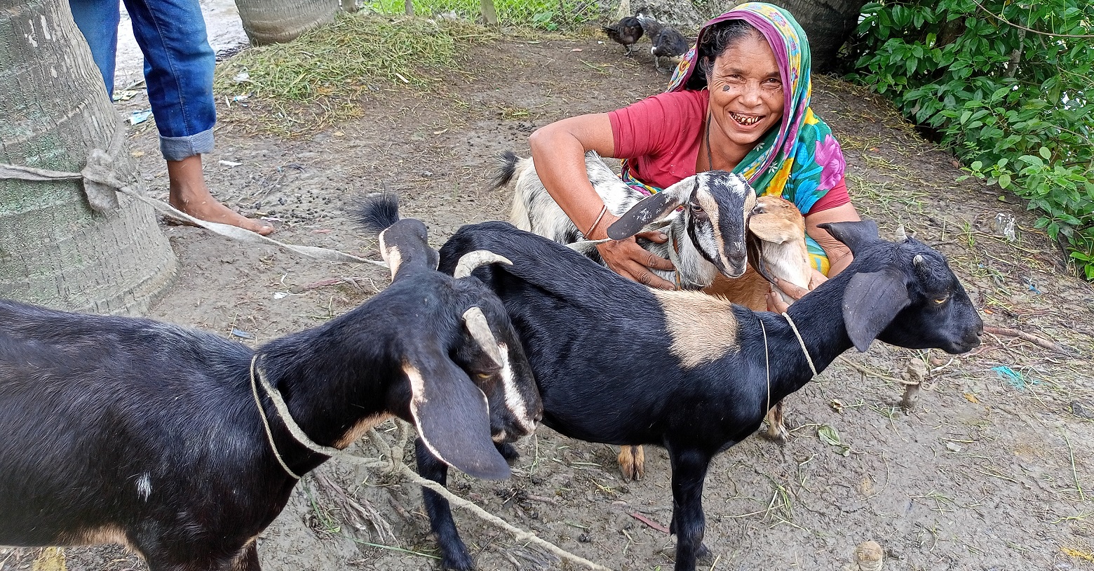 ছকিনা খাতুনের জীবন যুদ্ধ