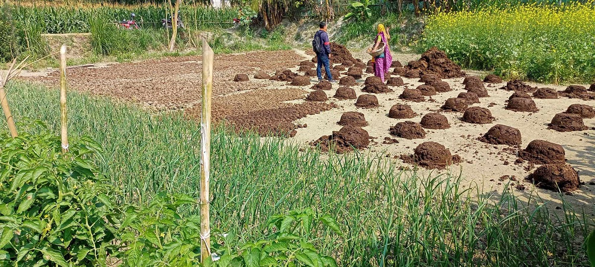 কৃষকের অধিকার রক্ষায় কৃষিপ্রতিবেশবিদ্যা