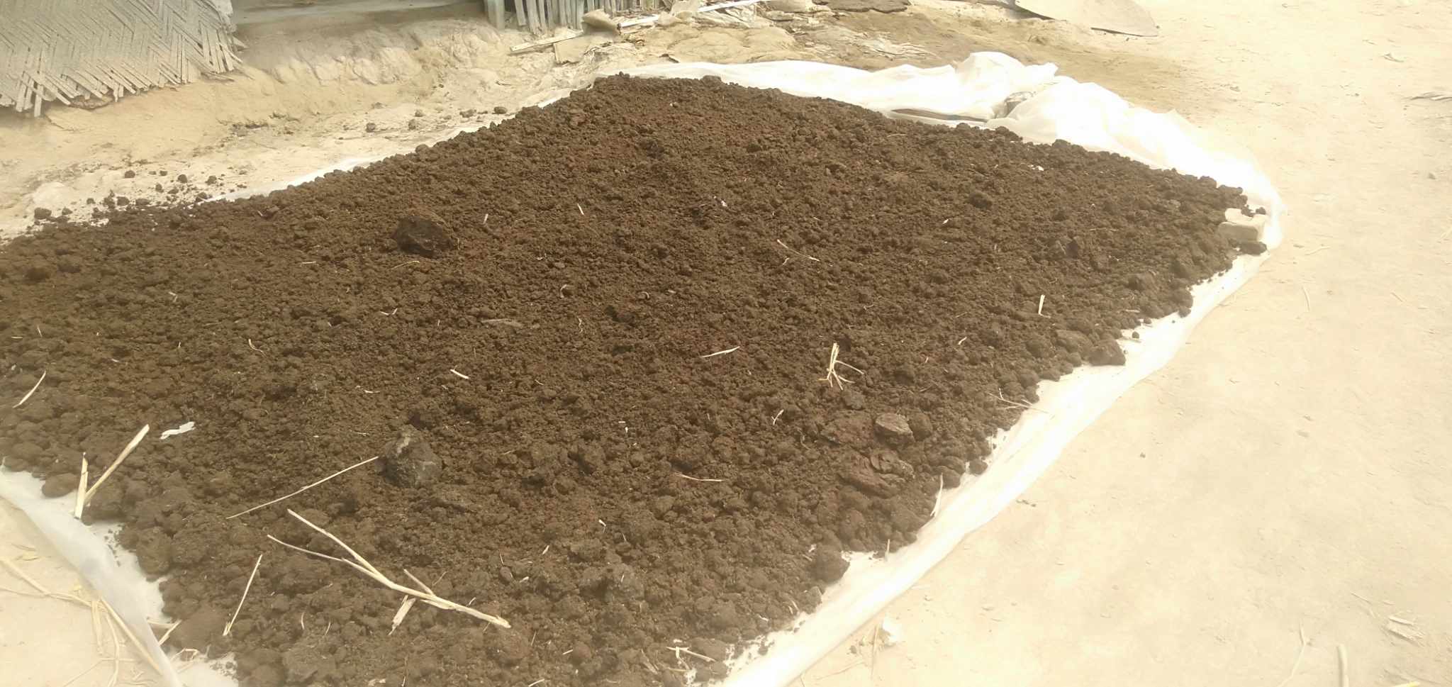 মাটির স্বাস্থ্য ফিরিয়ে আনতে জৈব সারের ব্যবহার বাড়াতে হবে