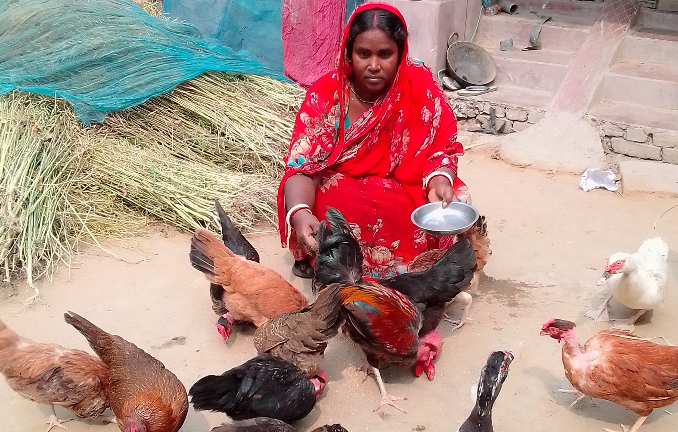 প্রাণিসম্পদ পালনে অদিতি রানীর সাফল্য