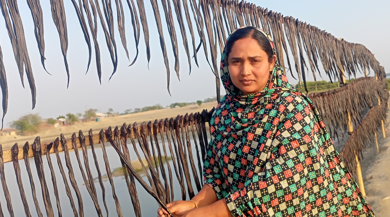 কুচিয়া ব্যবসায় আরিফার সাফল্য