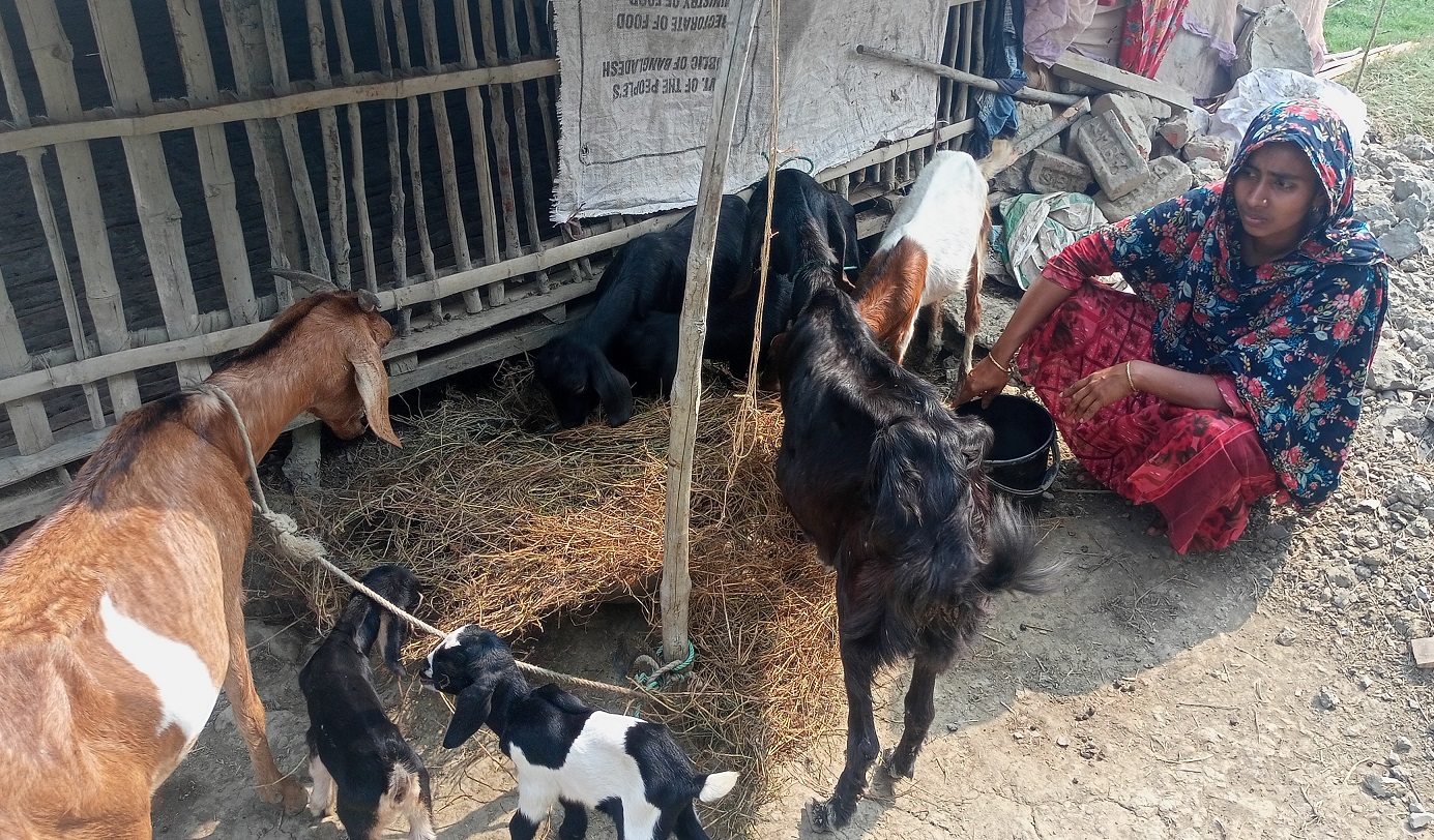 হালিমা খাতুন পরিবারের অর্থনৈতিক উন্নয়নে গুরুত্বপূর্ণ ভূমিকা রাখেন