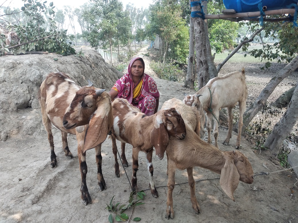 দুর্যোগের ঝুঁকি হতে রক্ষা পেতে চায় নদীর চরে বসবাসকারী মারুফা বেগম