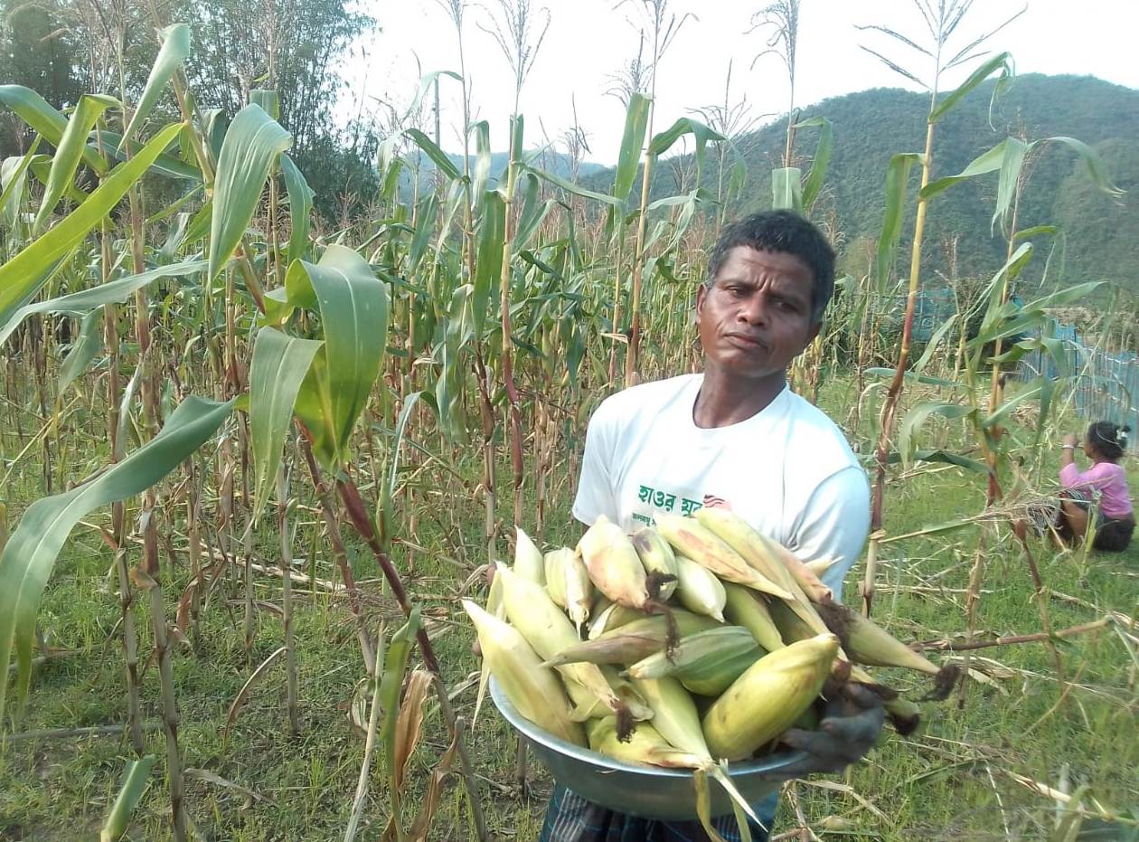 বালু জমিতে ভূট্টা চাষ করে সফল পরিমল