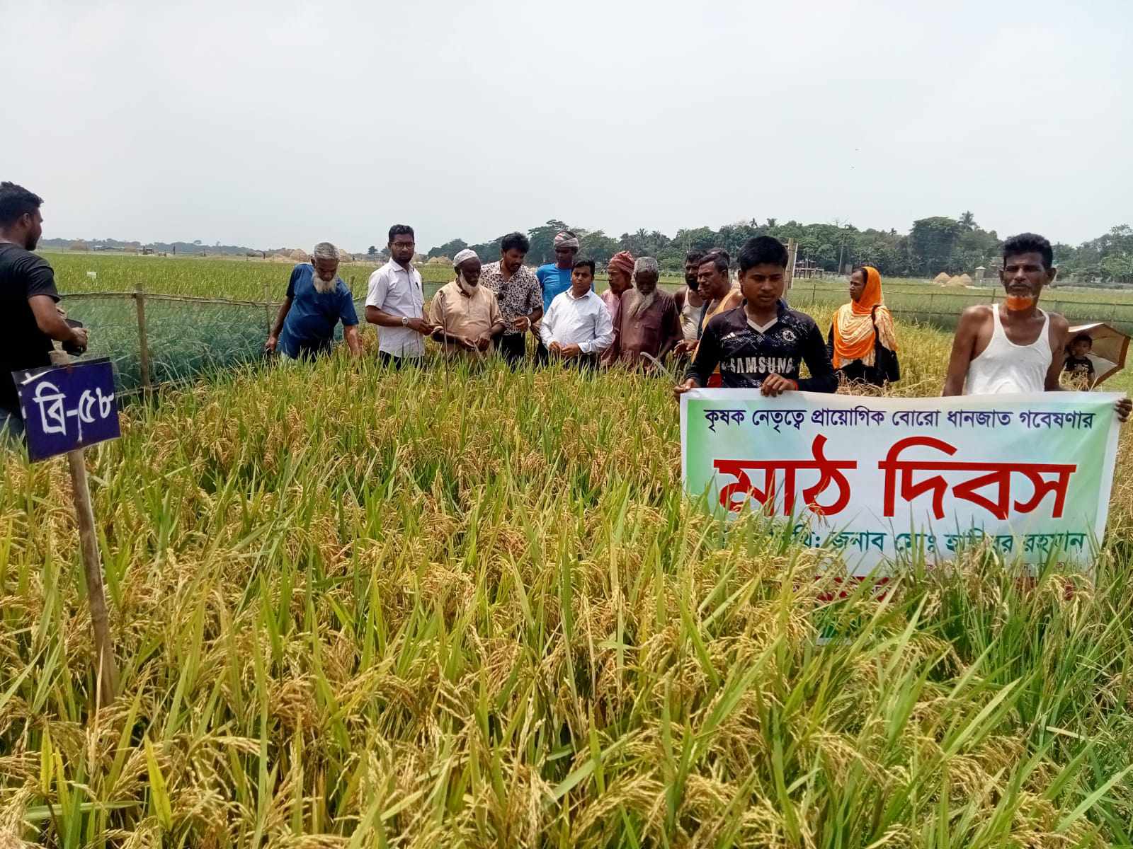 হাওরে বোরো ধানের জাত গবেষণার মাঠ দিবস অনুষ্ঠিত