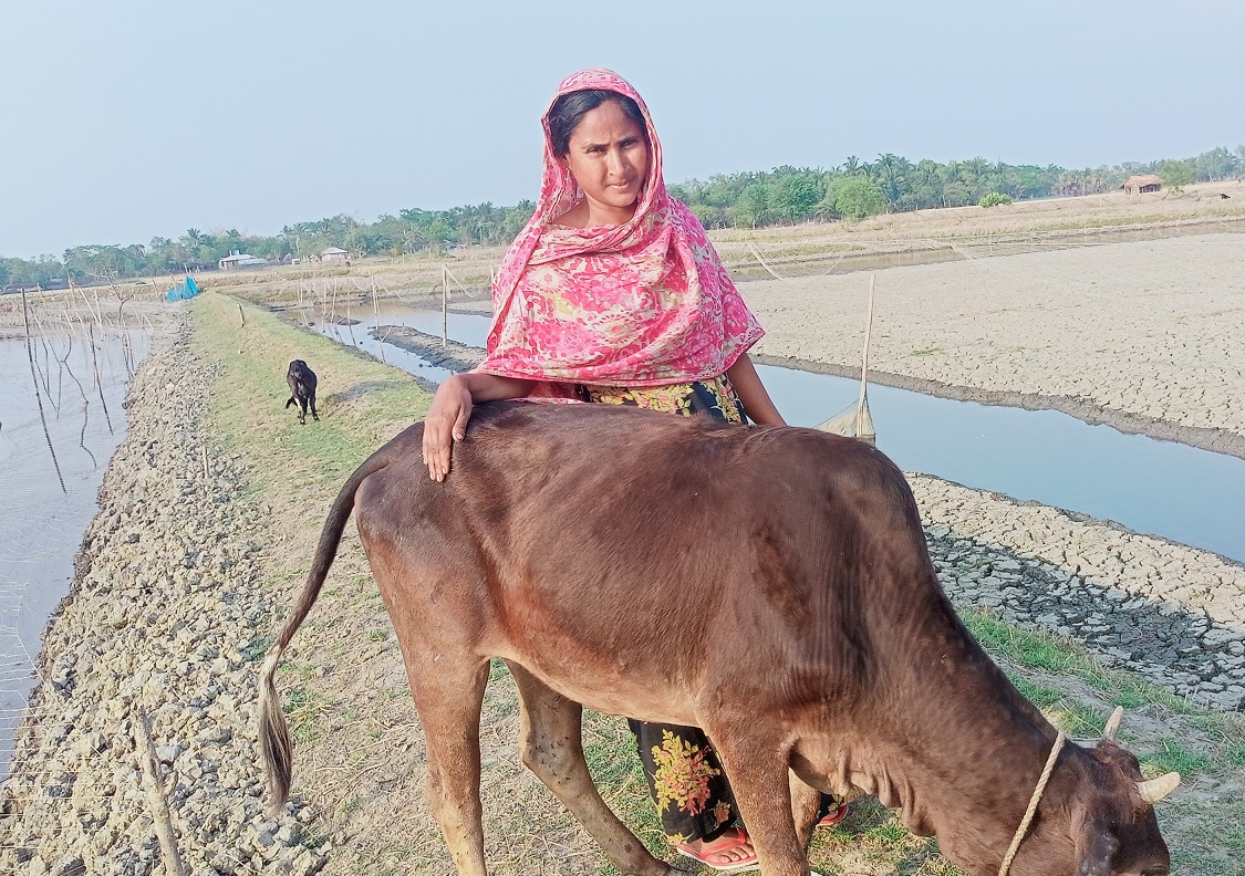 পরিবারের আয় থেকে গরু কিনলেন আকলিমা
