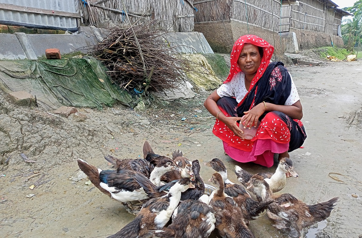 হাঁস পালনে আনজুয়ারা বেগমের সফলতা