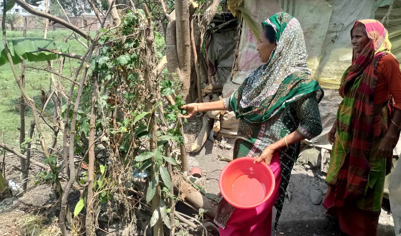 সবজি চাষ করলে গরমে দেয় স্বস্তি পূরণ করে পুষ্টি