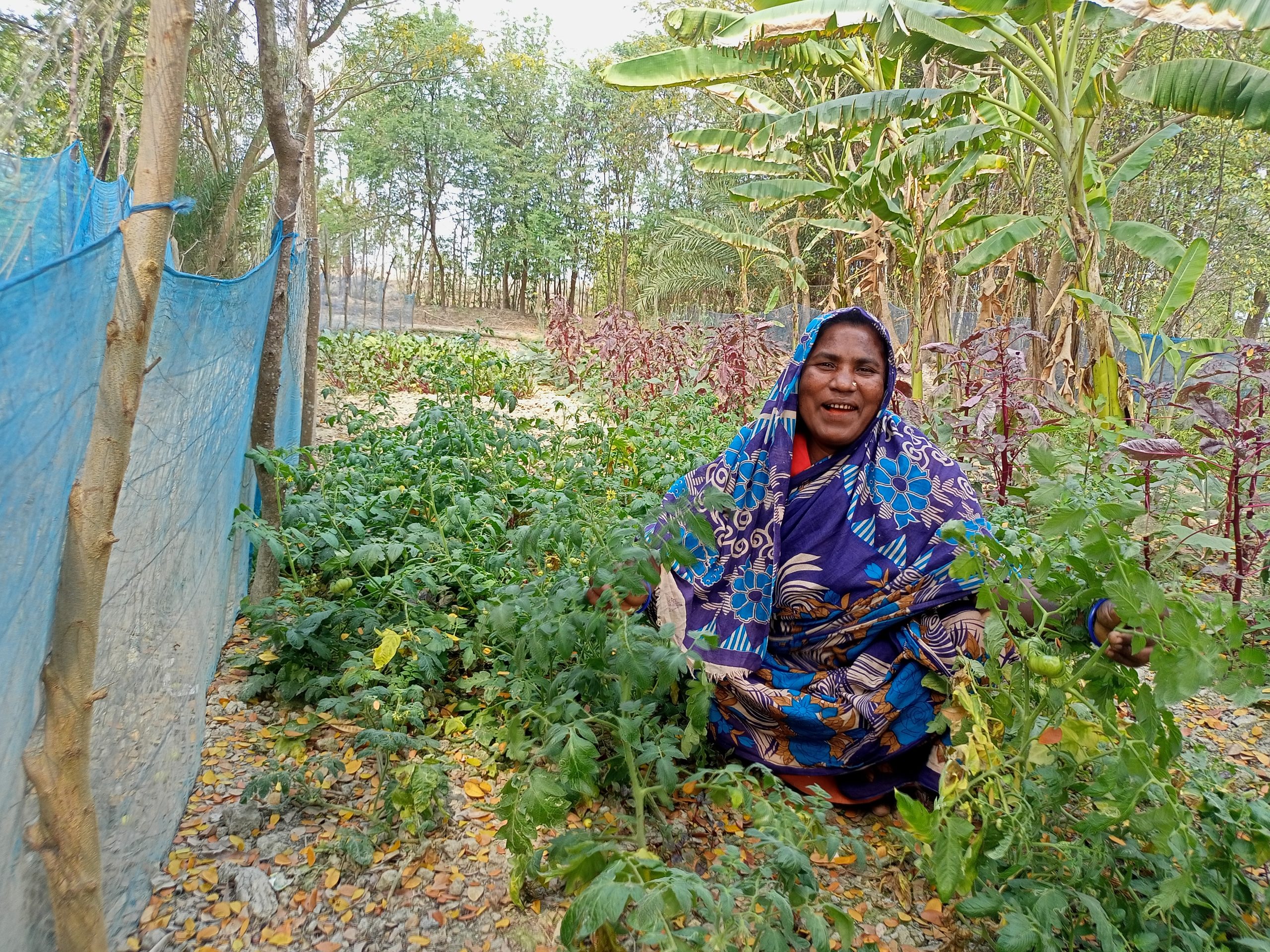 ফরিদা আক্তারের সমন্বিত কৃষিতে সফলতার গল্প