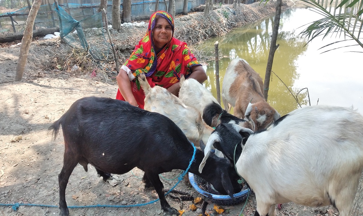 নারীরা পারিবারিক আয়ে ভূমিকা রাখেন