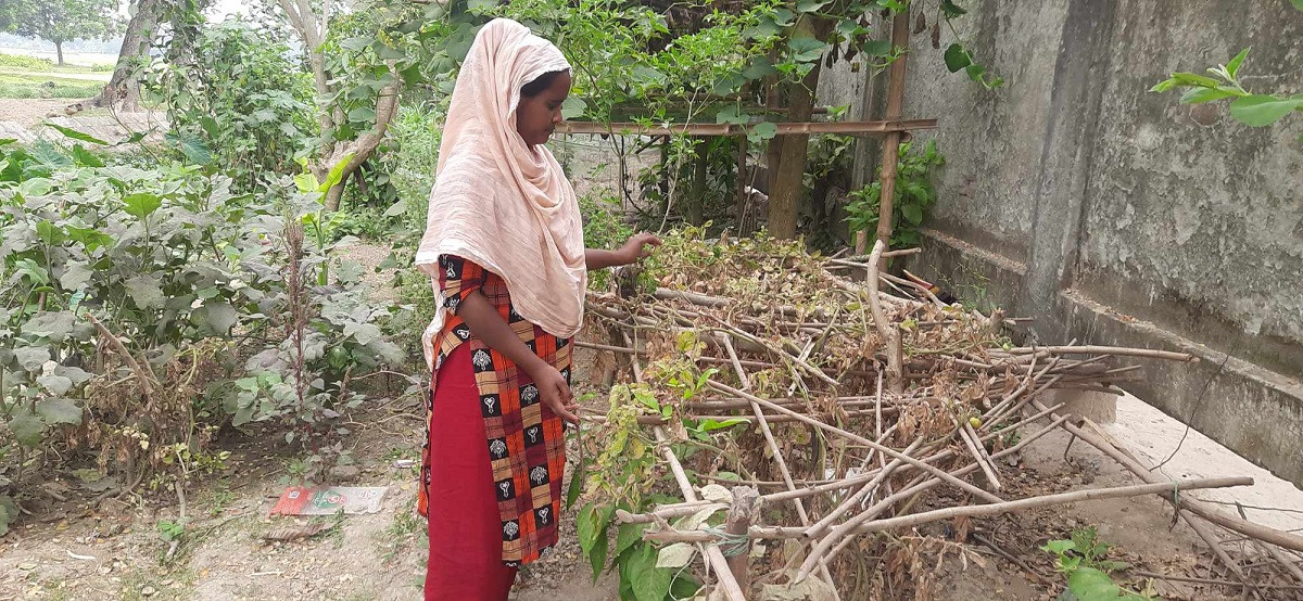 তীব্র তাপদাহে অতিষ্ঠ দরিদ্র জনগোষ্ঠীর জীবন, সঙ্কটে জীবিকা