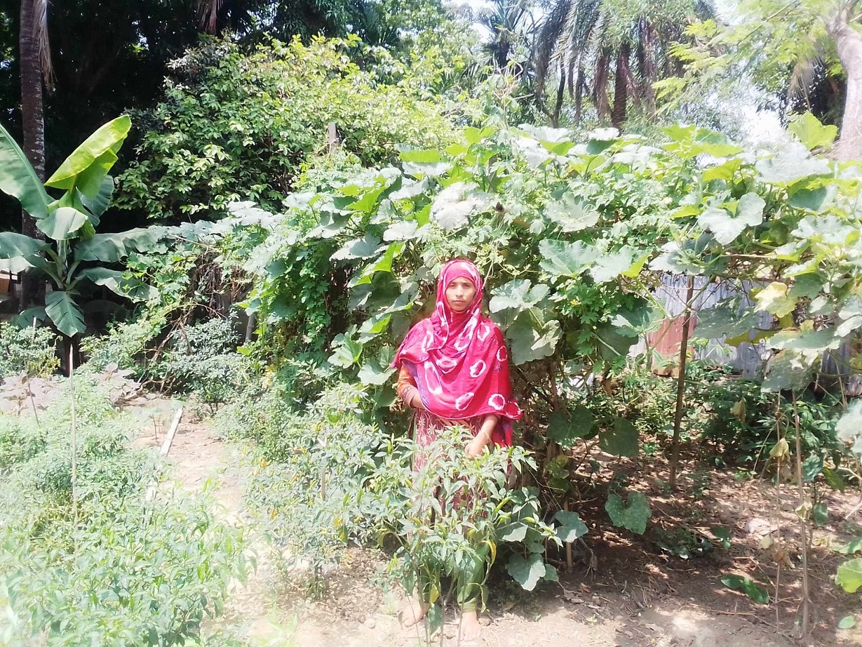 বছরব্যাপী সবজি চাষে আয় বেড়েছে খালেদা বেগমের