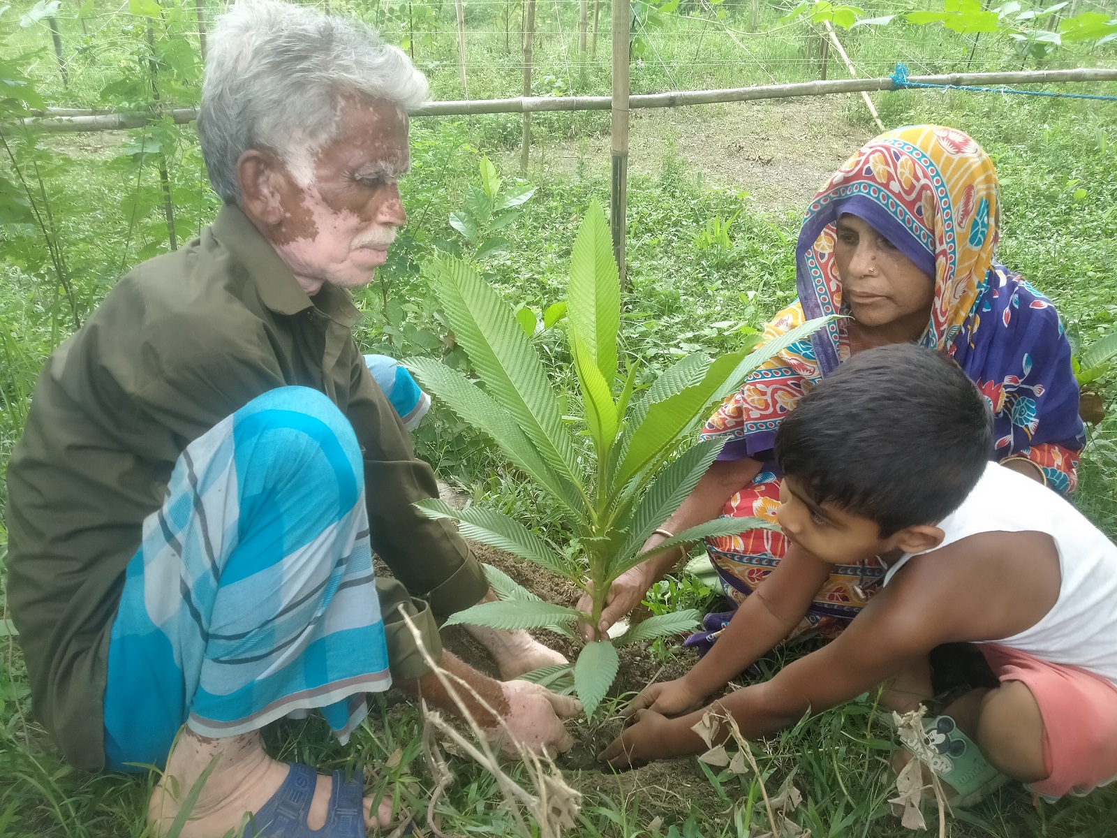 পরিবেশ রক্ষায় সকলে কাজ করতে হবে