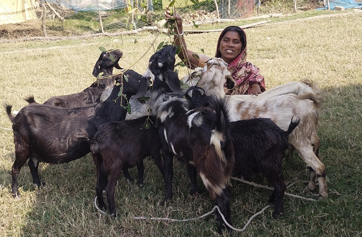 স্বপ্নপ্রত্যয়ী অর্চনা রানীর সংগ্রাম