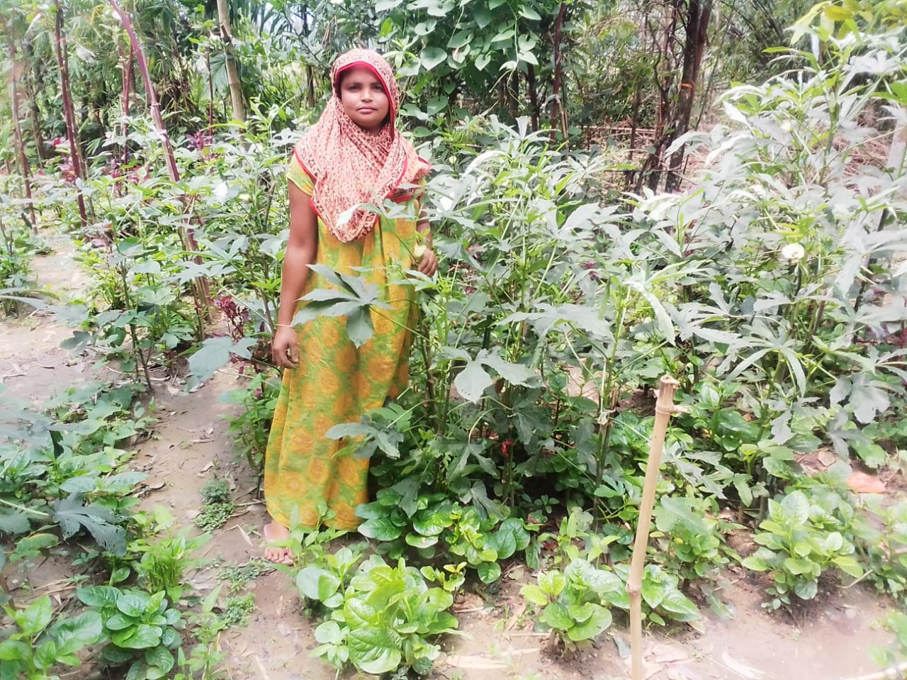 নিরাপদ খাদ্য উৎপাদনে ভূমিকা রাখছেন হোসনা বেগম