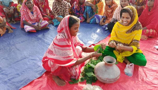 প্রাকৃতিক উপায়ে জৈব বালাইনাশক তৈরি করবো