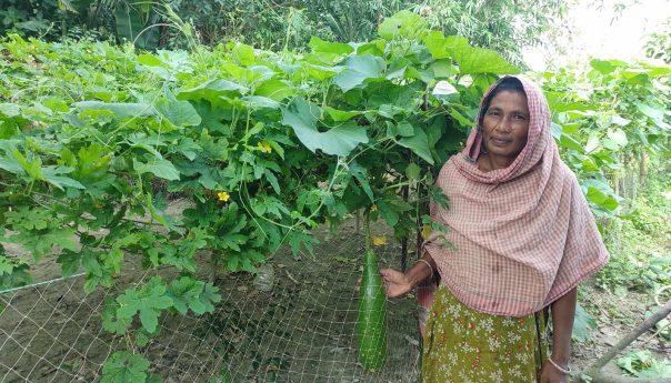 পরিবেশবান্ধব কৃষি চর্চায় নবিরনের সাফল্য