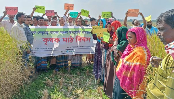 খরাসহনশীল ধান হিসেবে কৃষকের পছন্দের শীর্ষে অবস্থান করলো তালমুগুর