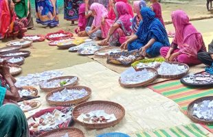 আমাদের বাড়িকেই বীজবাড়ি হিসেবে গড়ে তুলবো