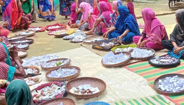 আমাদের বাড়িকেই বীজবাড়ি হিসেবে গড়ে তুলবো