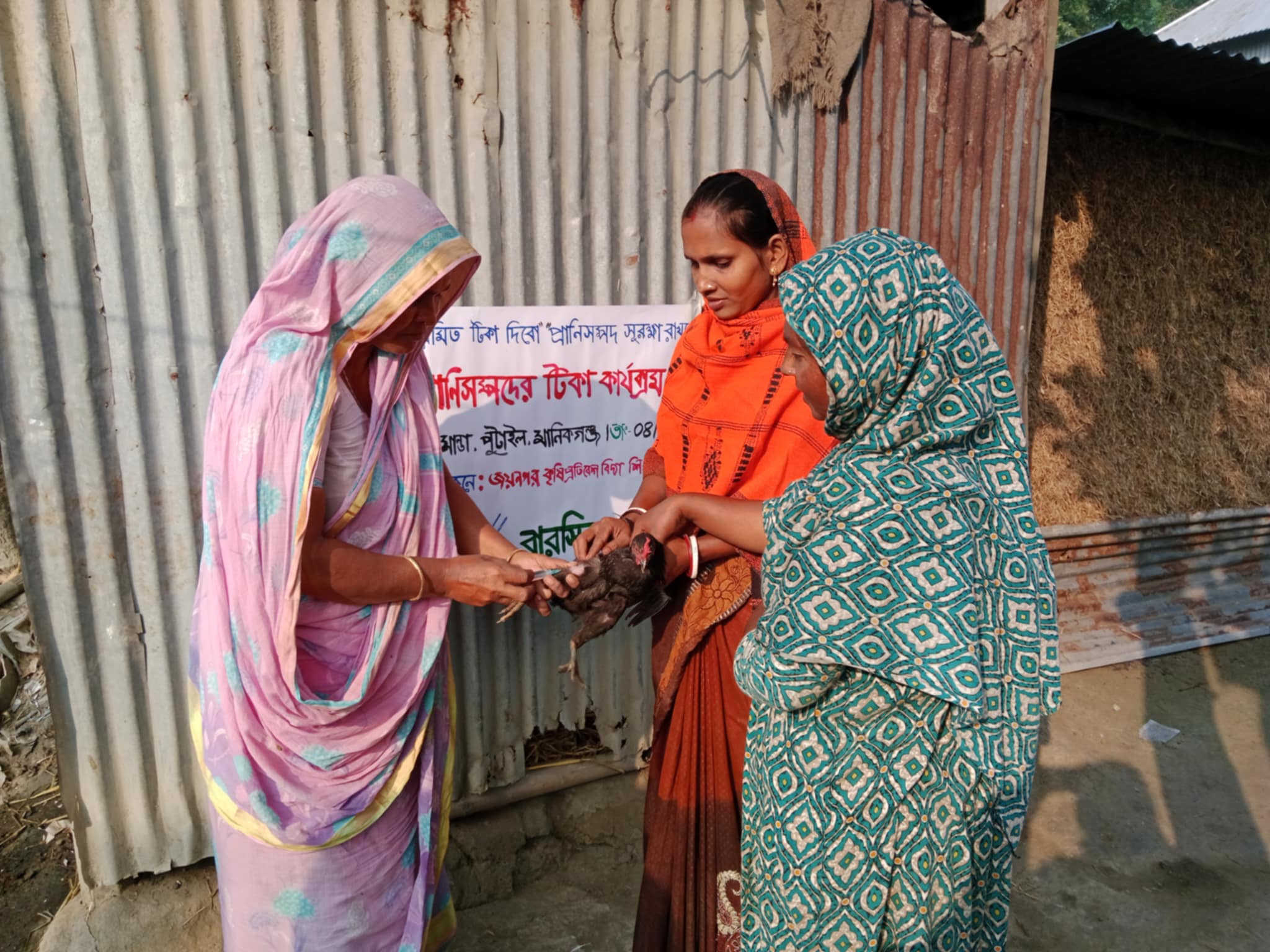 নিয়মিত টিকা দিবো, প্রাণিসম্পদ সুরক্ষা রাখবো