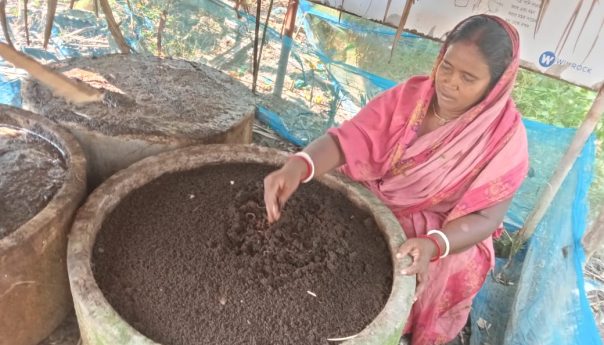 শ্যামনগরে ভার্মি কম্পোস্টের ব্যবহার বৃদ্ধি পাচ্ছে