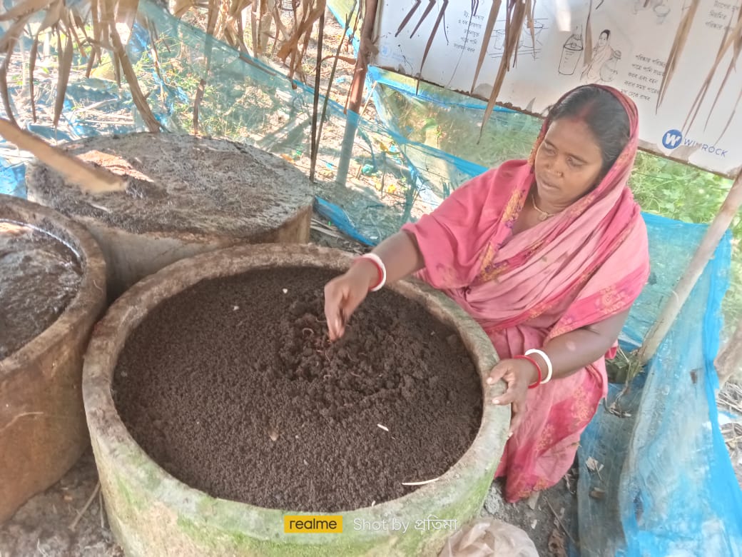 শ্যামনগরে ভার্মি কম্পোস্টের ব্যবহার বৃদ্ধি পাচ্ছে