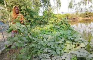 তিথি সরেন: সবজি চাষে সচ্ছলতা ও গ্রামের প্রেরণা