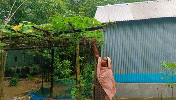 পারিবারিক কৃষিতে সফল কৃষাণি মঞ্জুযারা