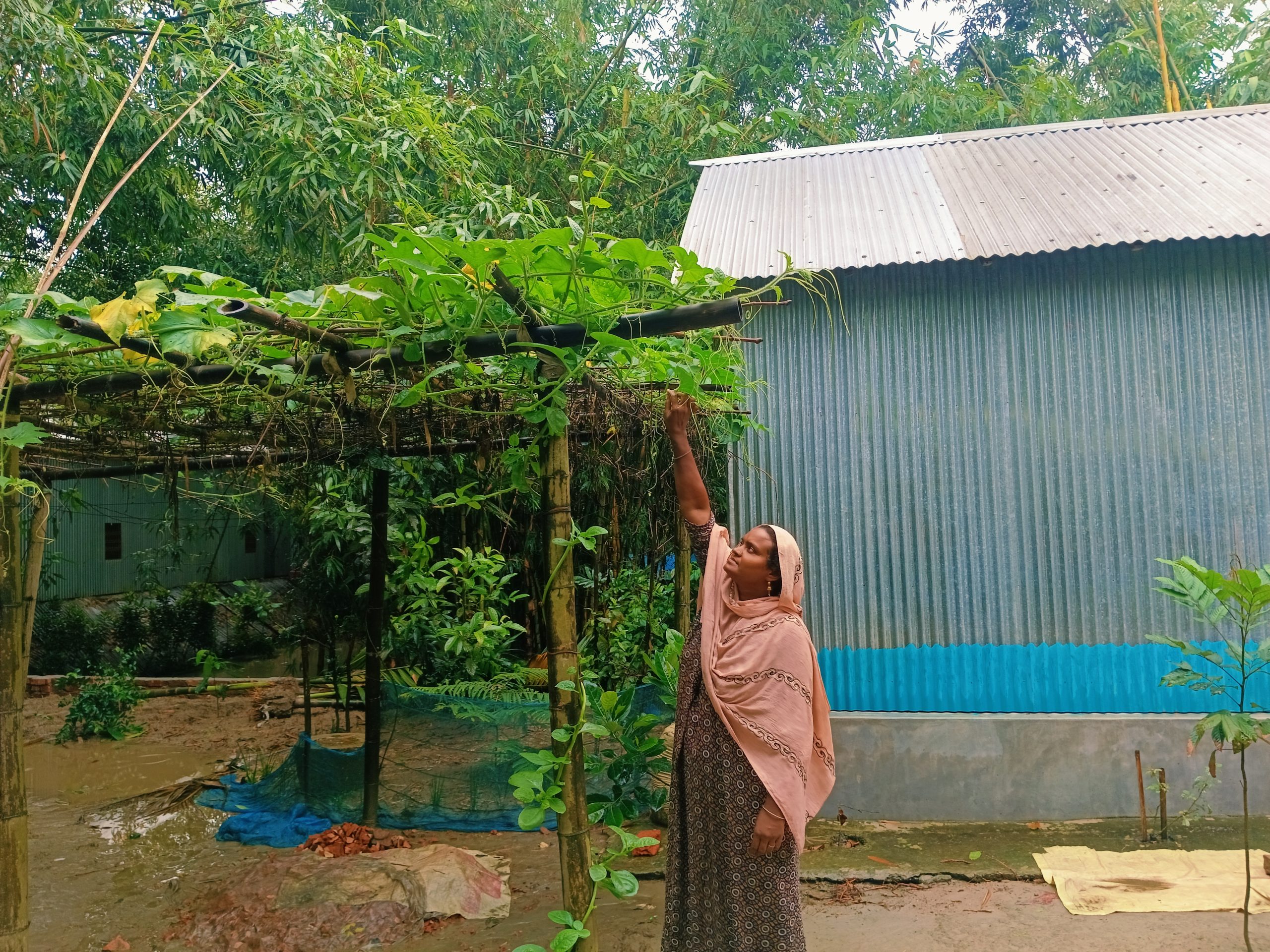 পারিবারিক কৃষিতে সফল কৃষাণি মঞ্জুযারা
