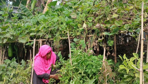 পারিবারিক পুষ্টিতে একজন নারীর ভূমিকা