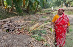 জৈব বেডে শাকসবজি চাষ করে লাভবান হচ্ছেন রাশেদা বেগম