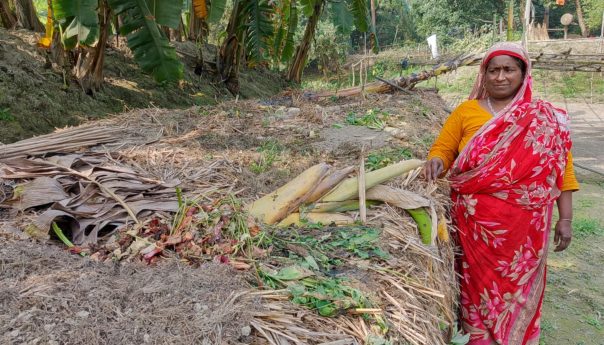 জৈব বেডে শাকসবজি চাষ করে লাভবান হচ্ছেন রাশেদা বেগম