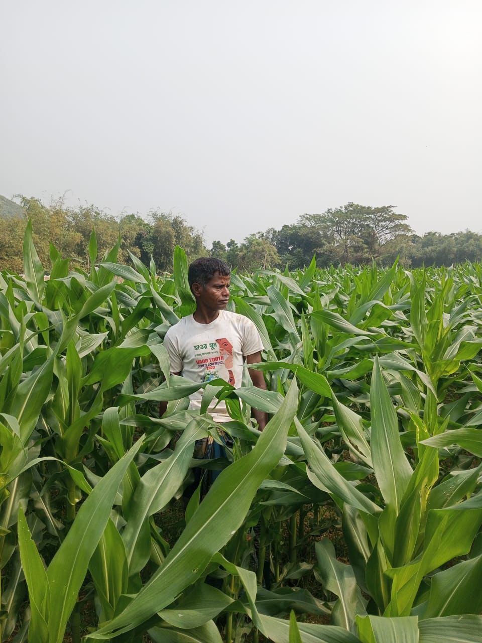 বালি জমির সম্ভাবনা: বাদাম, ভূট্টা ও মিষ্টি আলু চাষের সফলতার গল্প