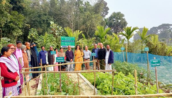 ডিয়াকনিয়া প্রতিনিধিদের বারসিক’র Wicking Bed পরিদর্শন